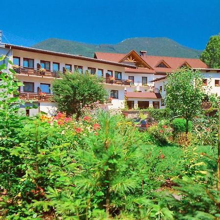 Alpenpension Birkenhof Grünau im Almtal Buitenkant foto