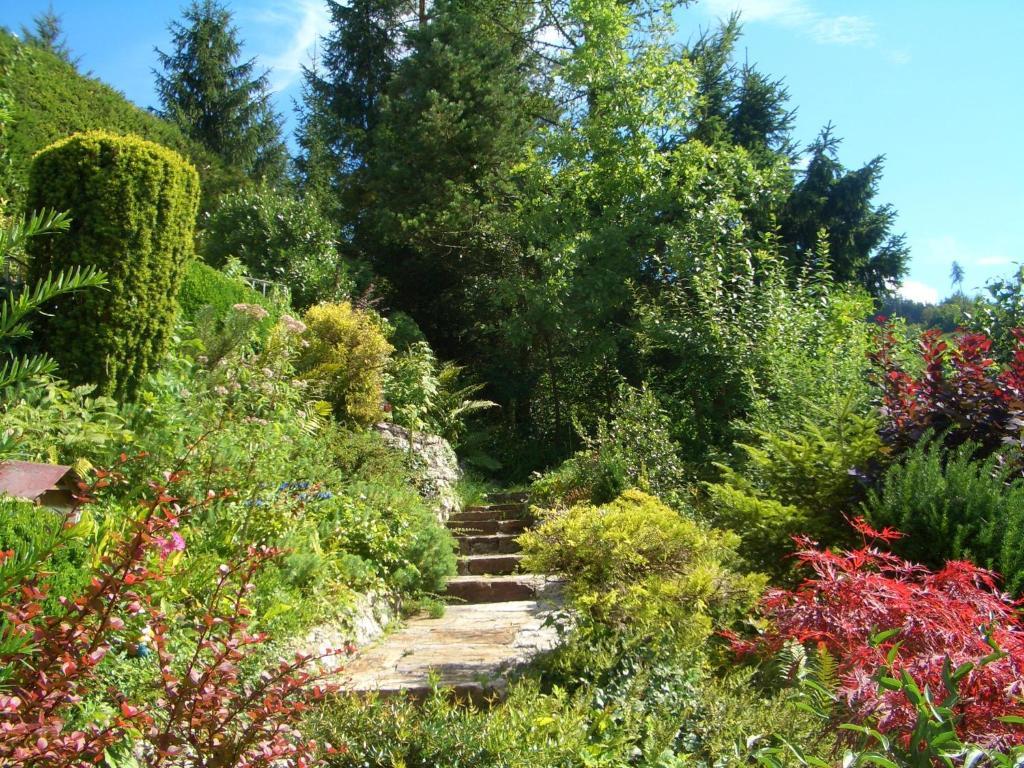 Alpenpension Birkenhof Grünau im Almtal Buitenkant foto